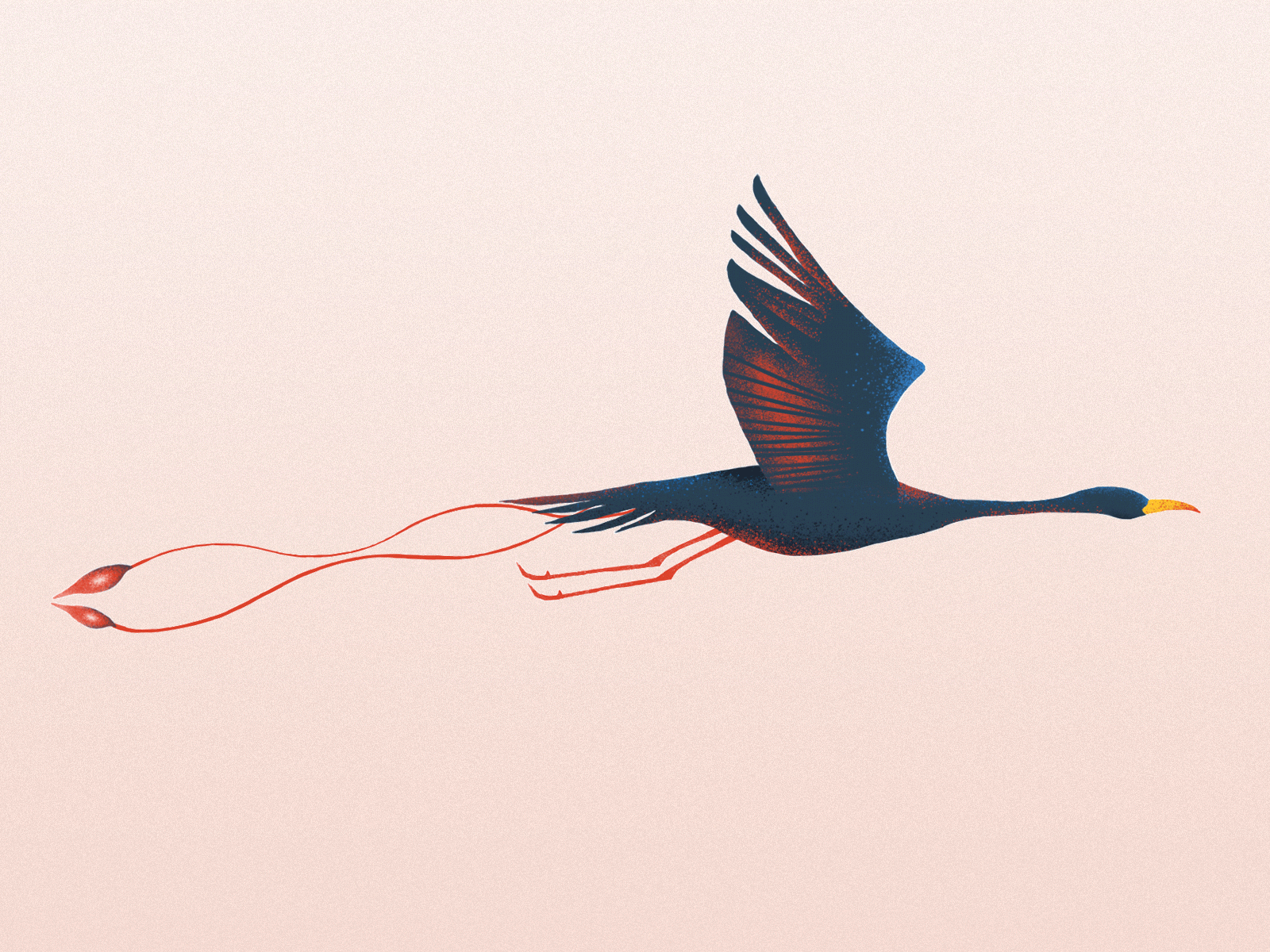 Flying bird animation